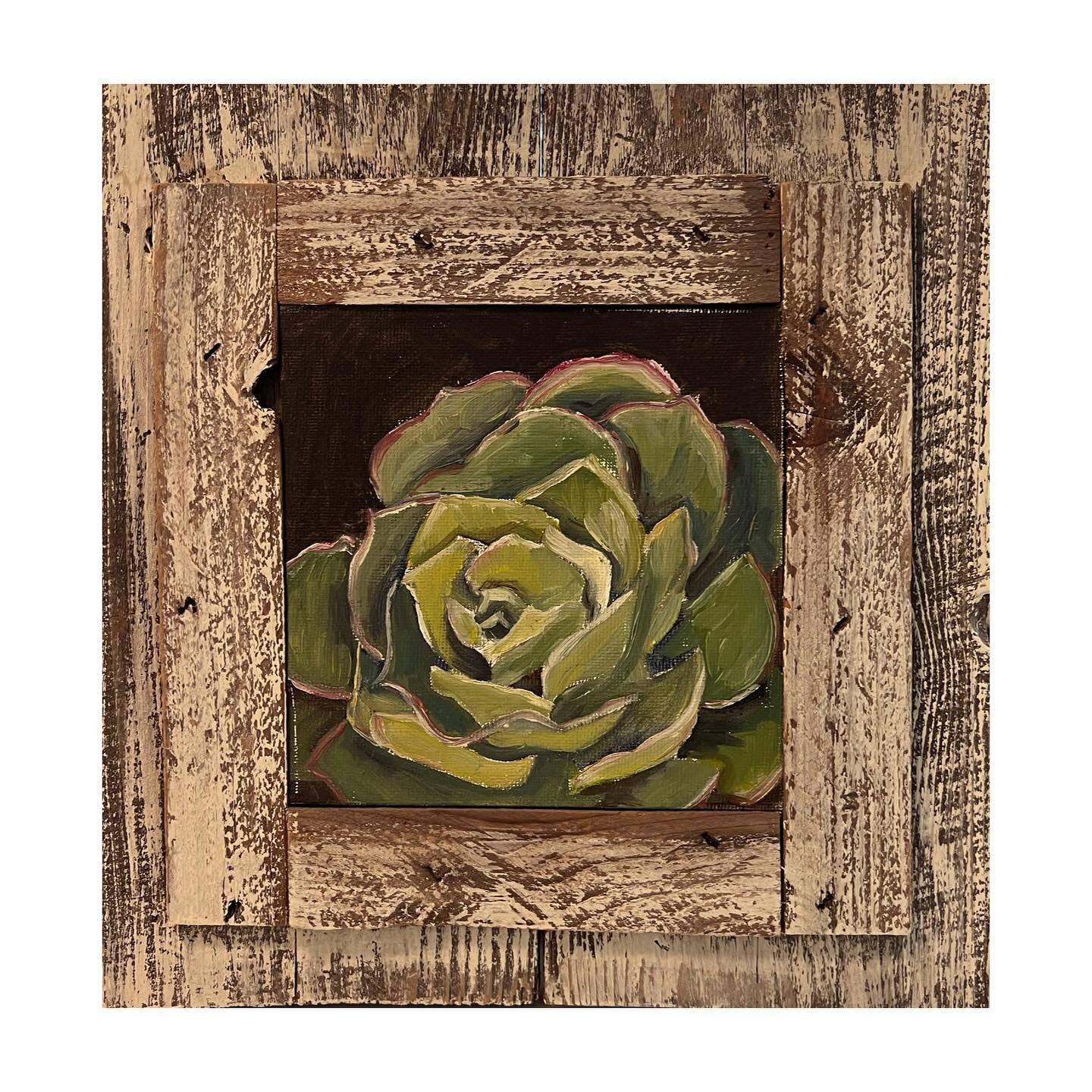 Succulent 1, 6x6 oil on canvas with repurposed wood frame. For sale, $110 plus shipping. #oilpaintingforsale #succulents #oilpainter