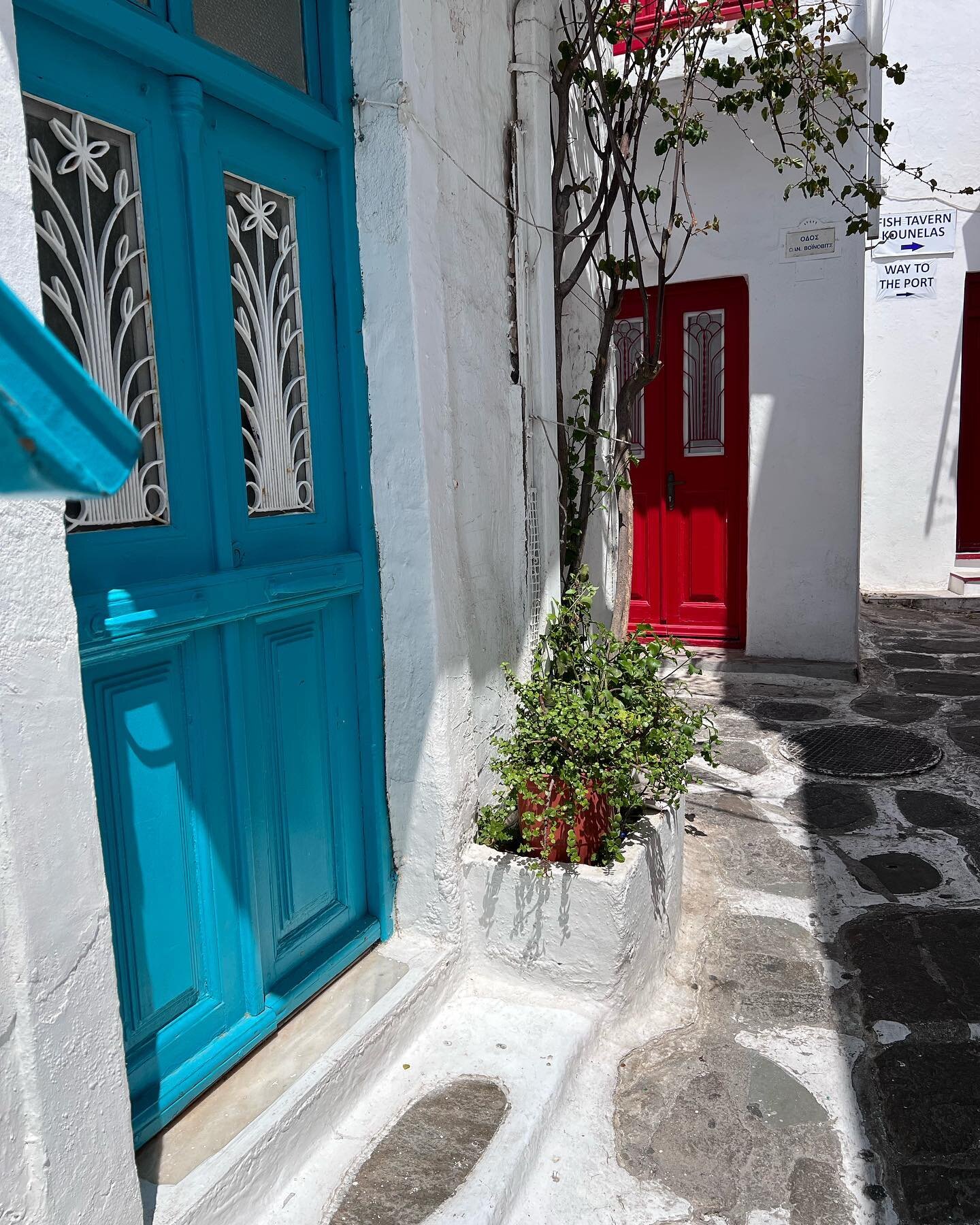 Most doors in the maze of streets in Mykonos, Greece are painted a beautiful bright color. Next to the freshly painted Lyme white walls&hellip;just stunning. #artistinvacation #celebritycruises #artforsalebyartist