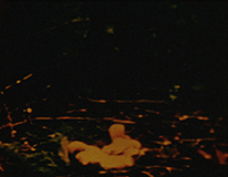 VARIOUS ARTISTS Fete de la WSK:TYO>MNL>(+) Screening Room Thursday, August 8, 2013, 8 - 10pm