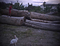ARTIST TALK Carlos Celdran, Kiri Dalena, & Jay Abello Screening Room Saturday, June 8 2013, 8:30 pm