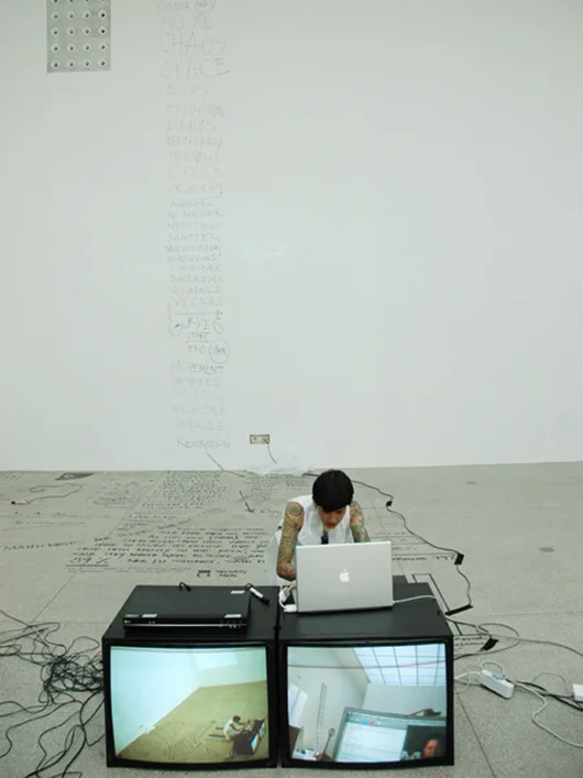 Truly Pure Vienna Secession, 2010 © Roberta Lima. Photographs Ana Paula Franco. Courtesy of the artist and Charim Galerie.