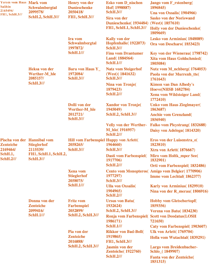 Pedigree of Vegas - Largo vom Dongmiran
