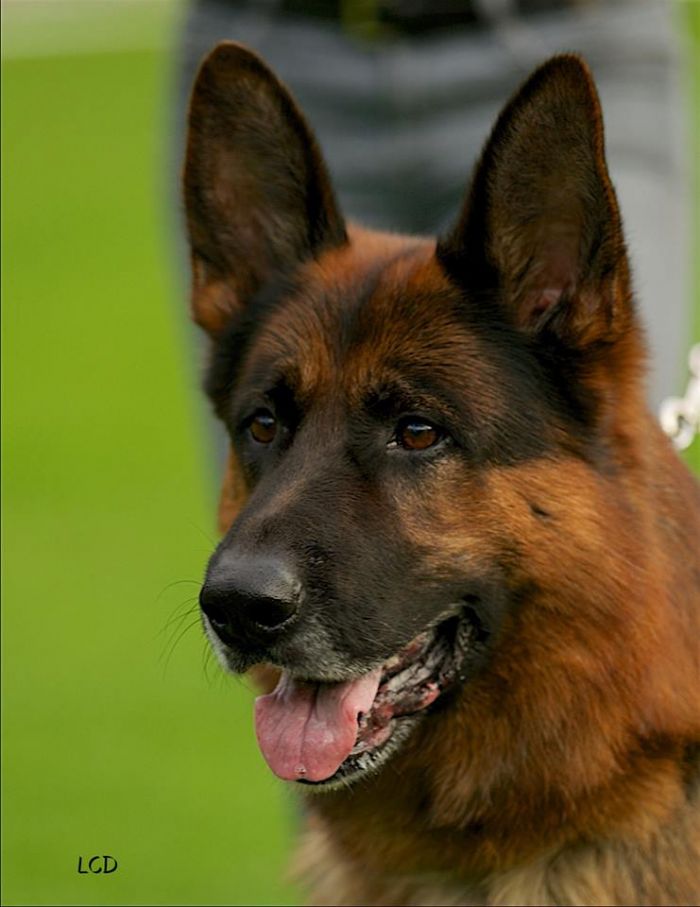 Labo   Vom Schollweiher