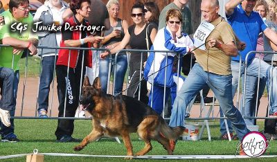 Juwika Destroyer in action