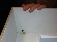Step 7
