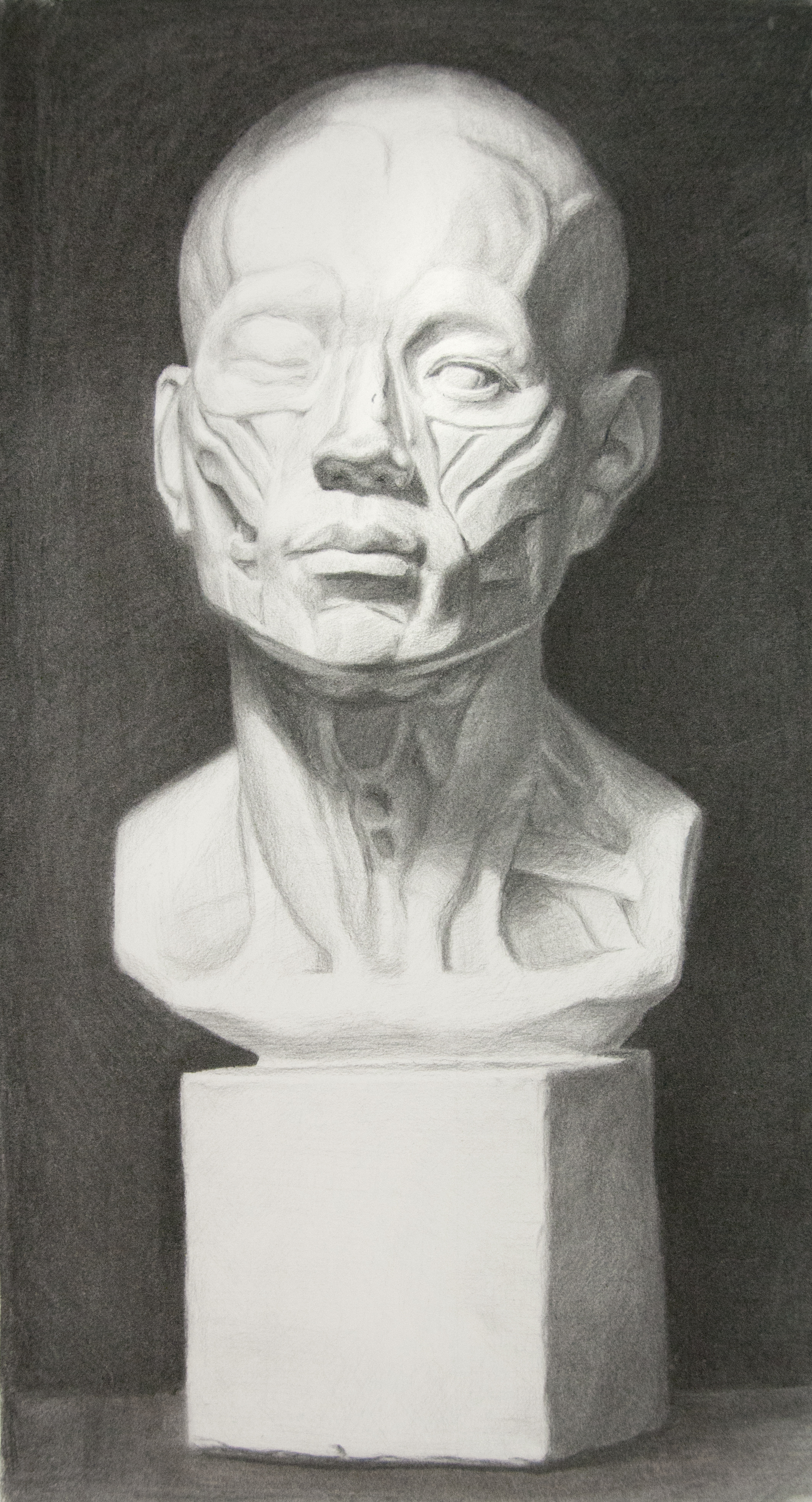 Andrew Cortez, cast drawing student.