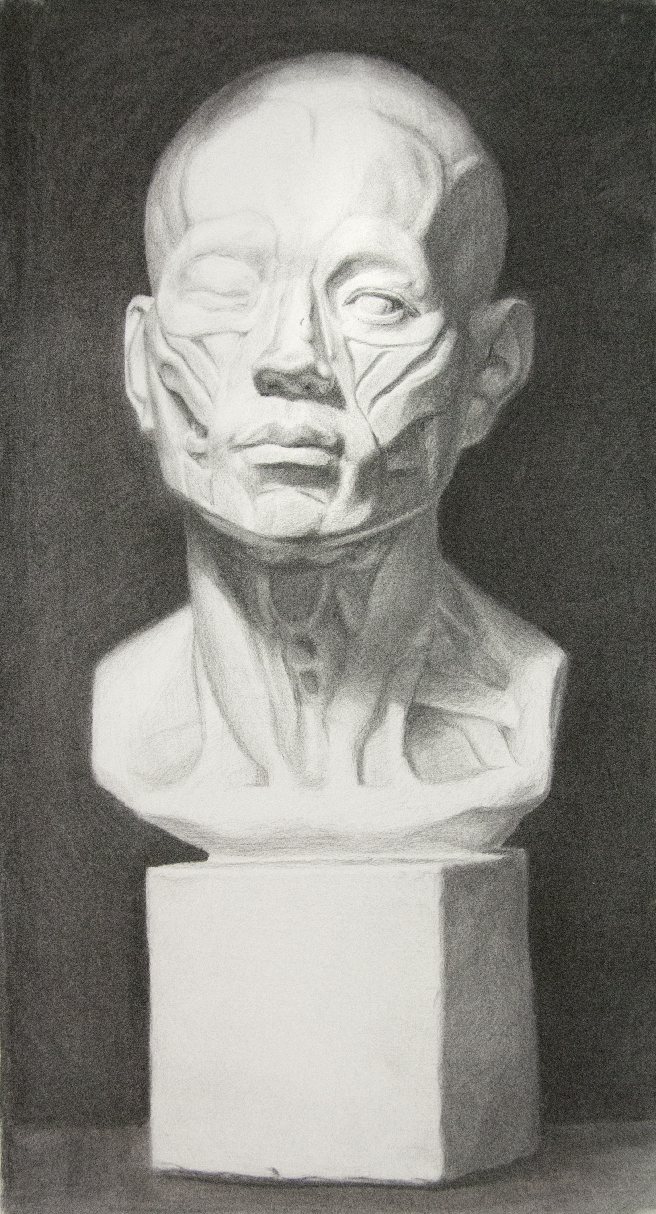  Andrew Cortez, cast drawing student. 