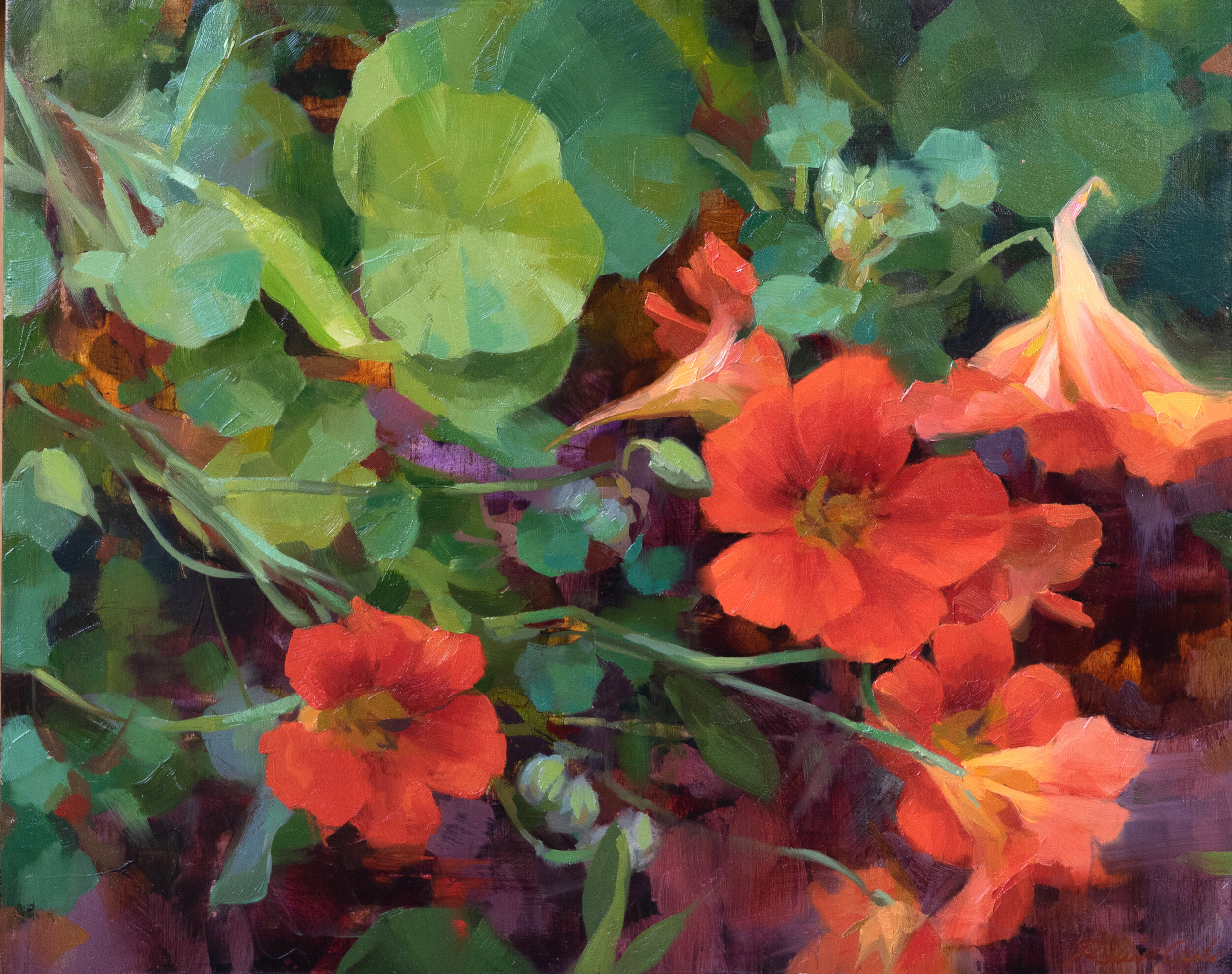 Nasturtiums I.jpg