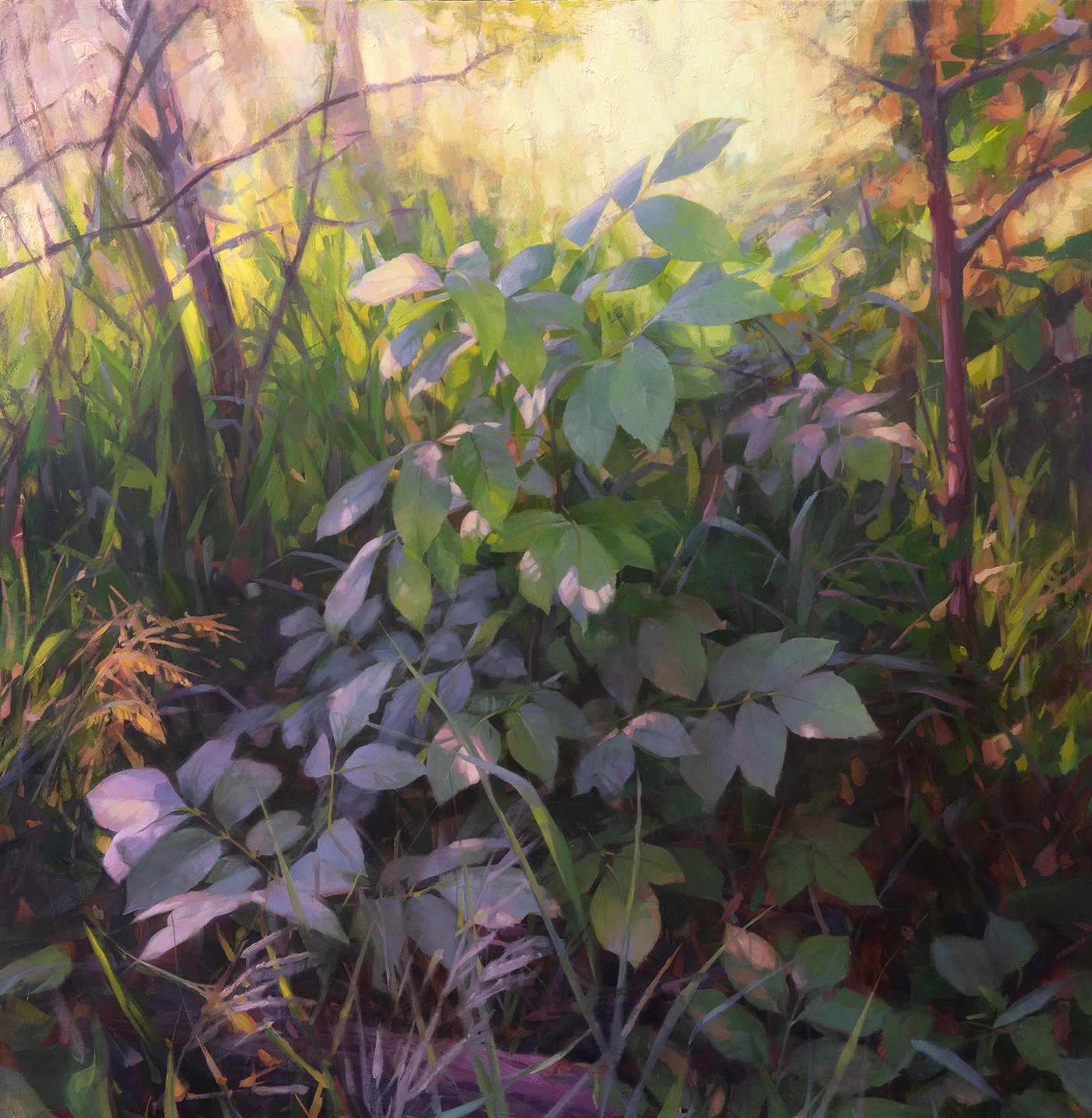 The Awakening . Oil on panel. 29.5 × 29.5 inches. 2021. Silver Medal Award, OPA National Exhibition. Available