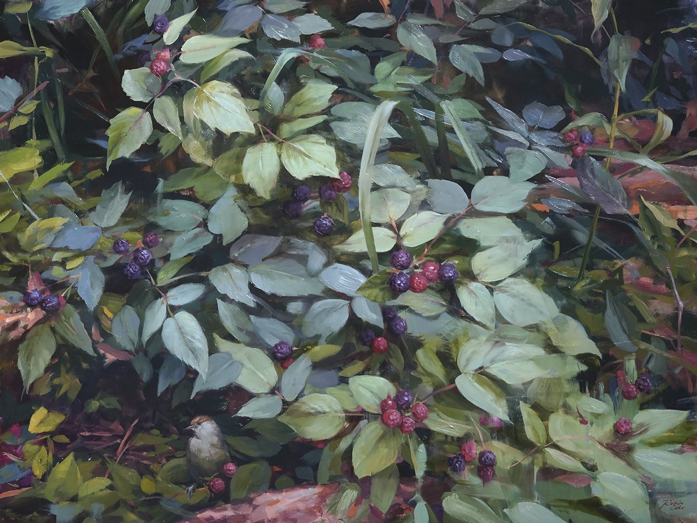 Blackcap in Blackberries | oil on panel | 24 × 30 inches | 2020 Private collection