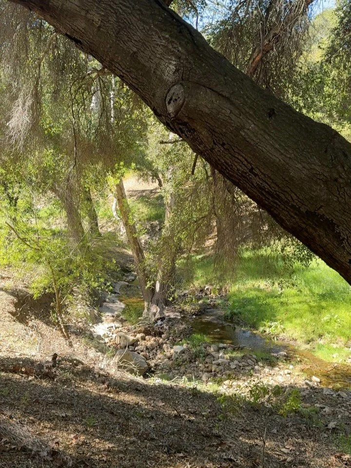 Life as of late ☺️🤍🌷