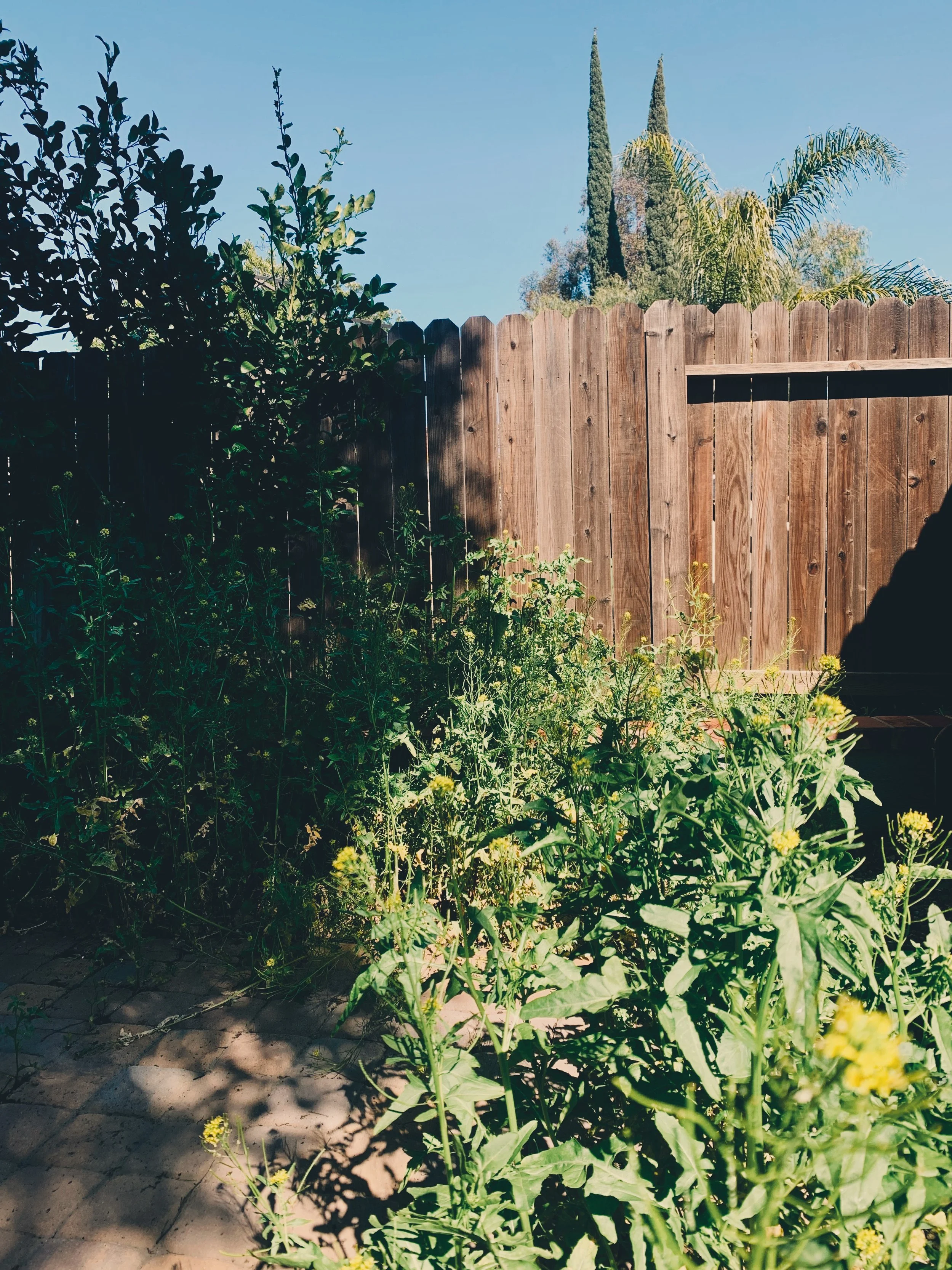 FullSizeRender_VSCO 2.png