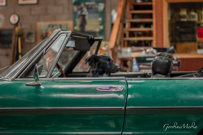 Screen Shot 2015-11-21 at 9.51.15 PM.png