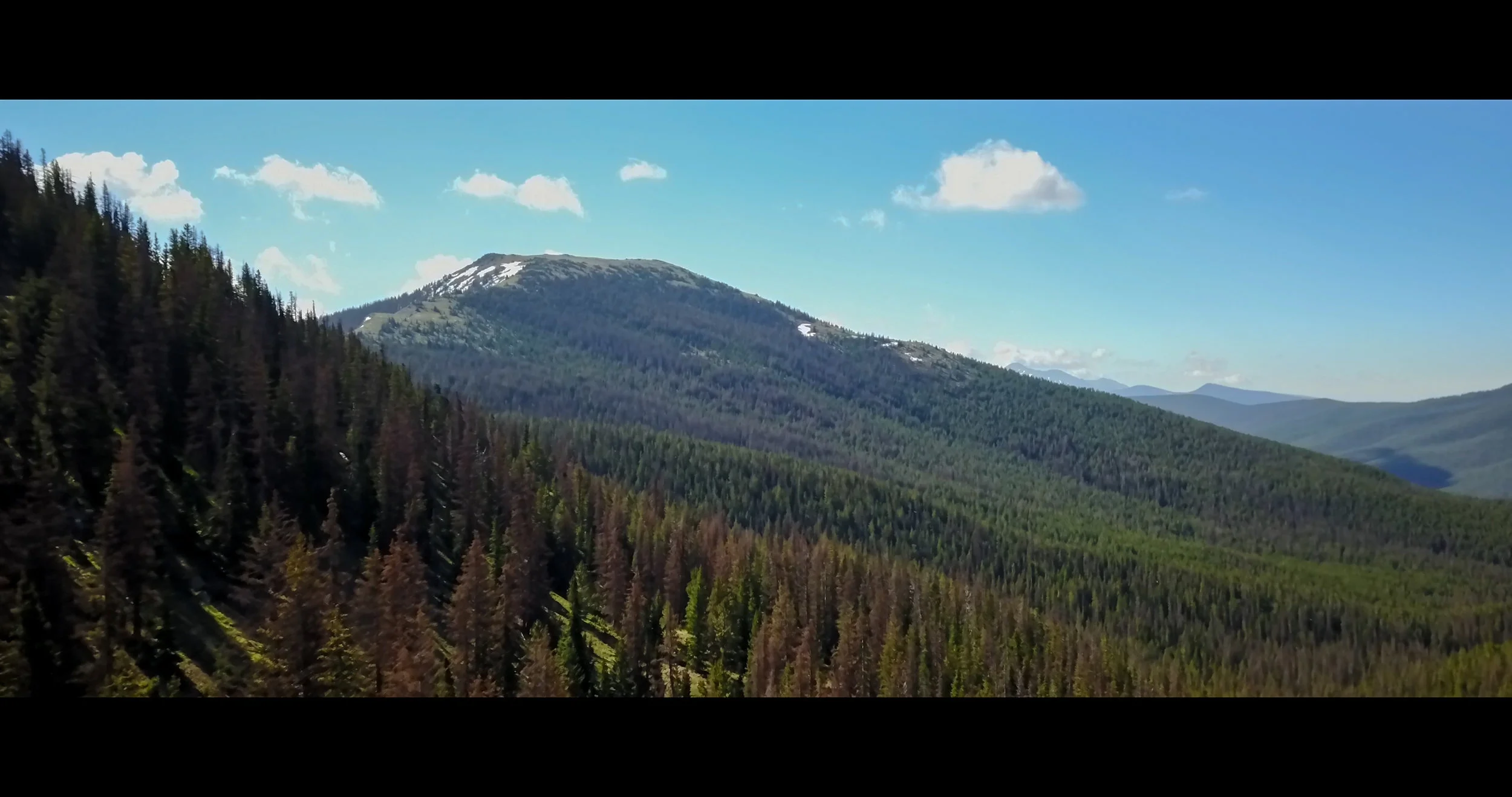 Frame Grabs_1034.jpg