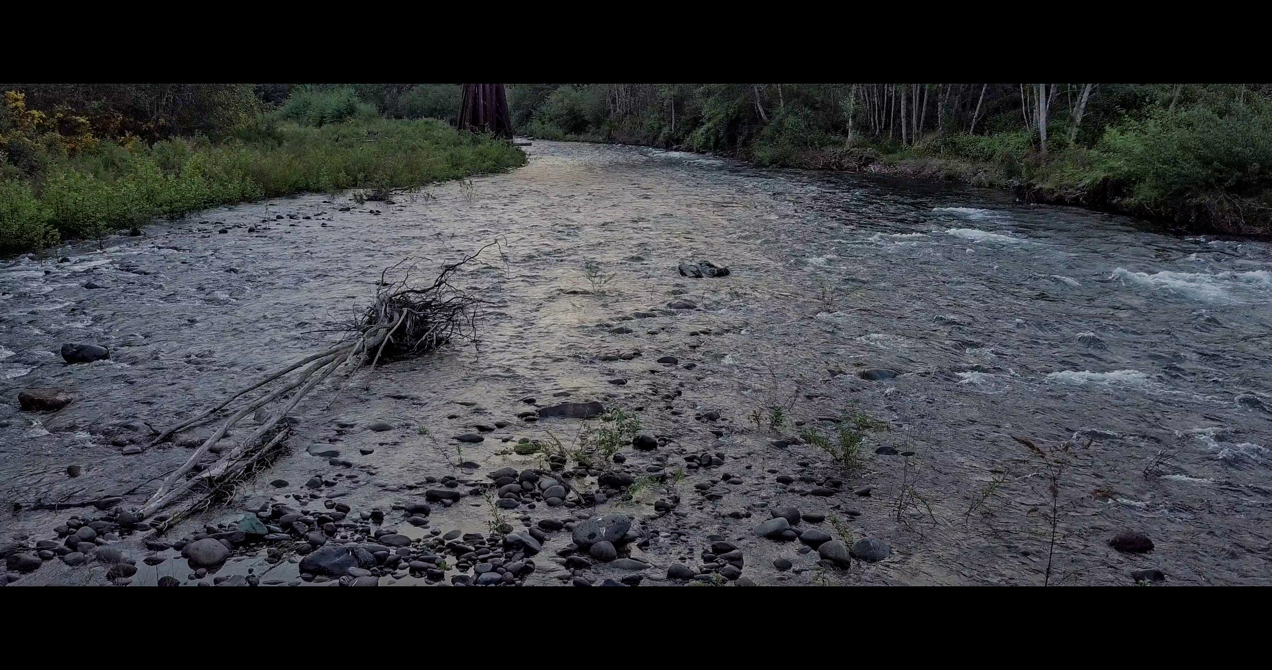 Frame Grabs_1217.jpg