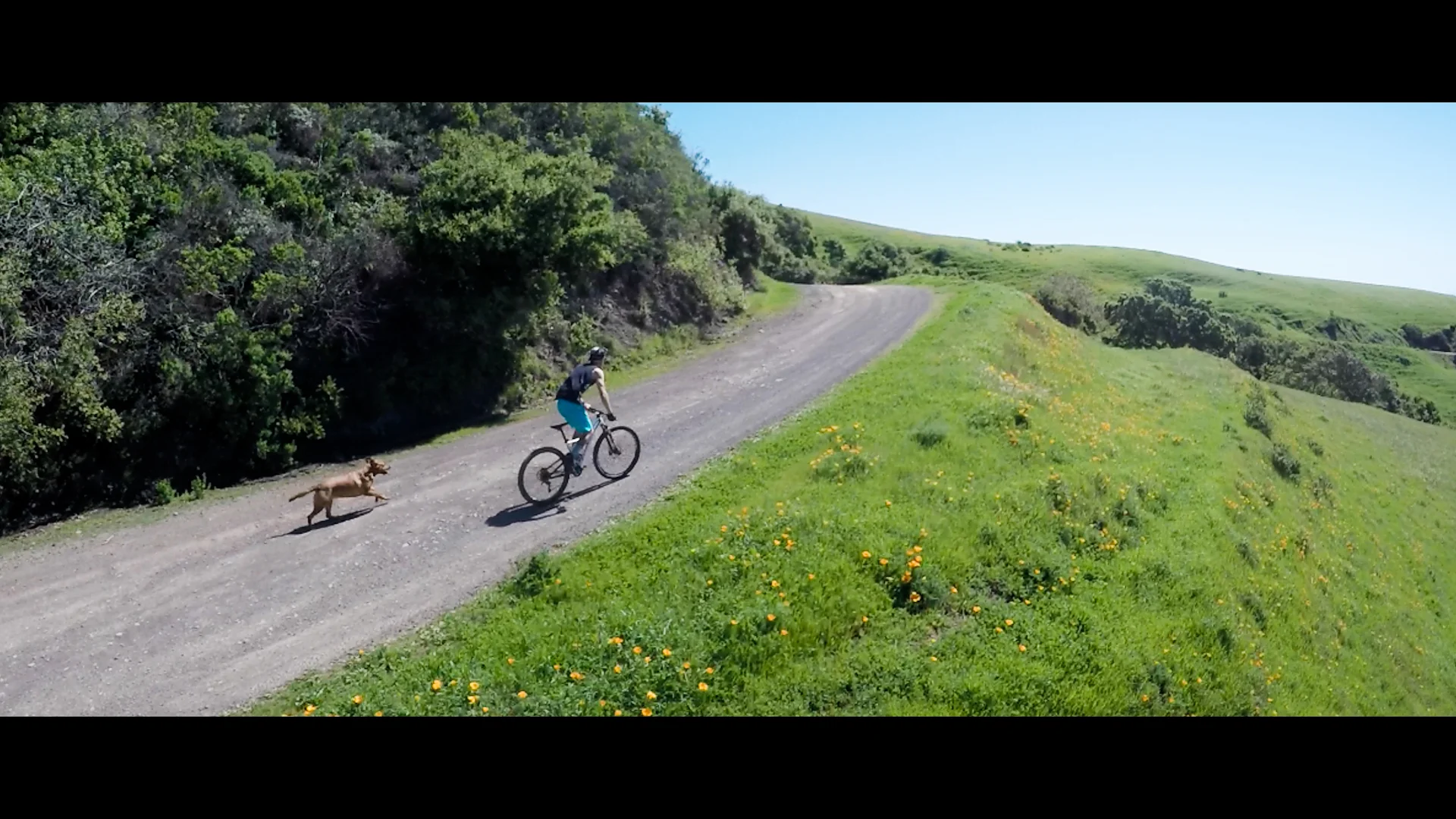 FrameGrab 3dr_1_108.jpg