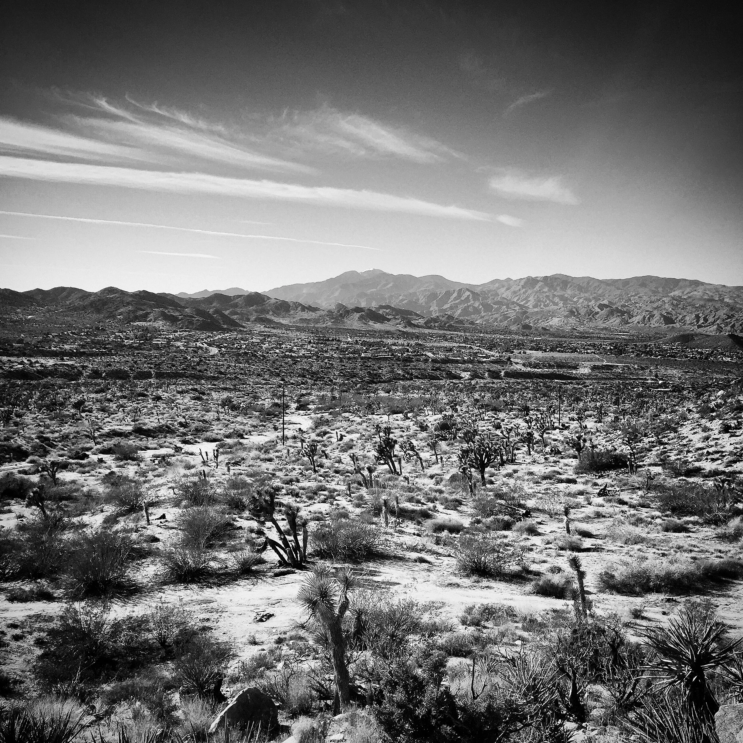 IMG_3099.JPG
