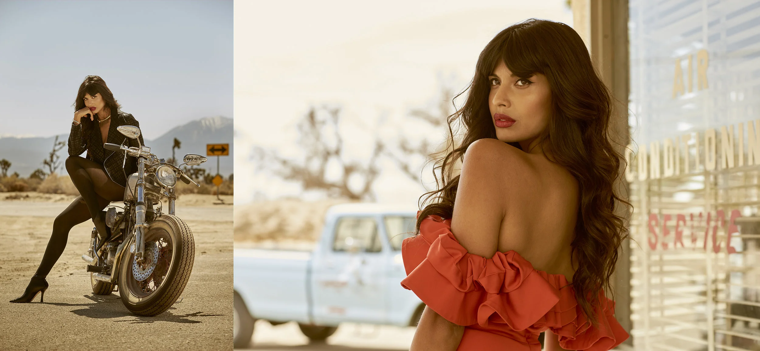 JAMEELA JAMIL_20b.jpg