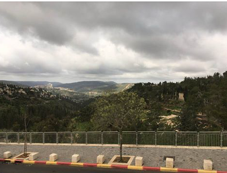Jerusalem Forest