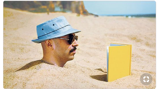 I will not ponder long about what this person is reading.