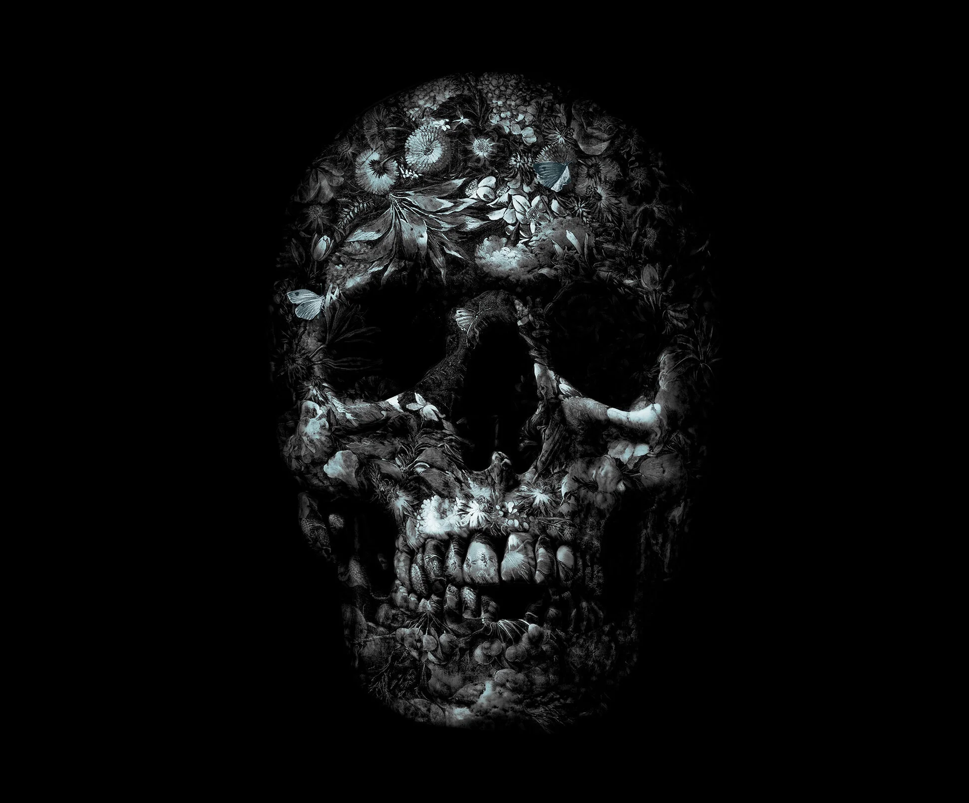 skull2.jpg