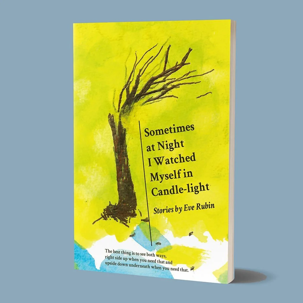 Eve_Rubin_book_cover.jpg