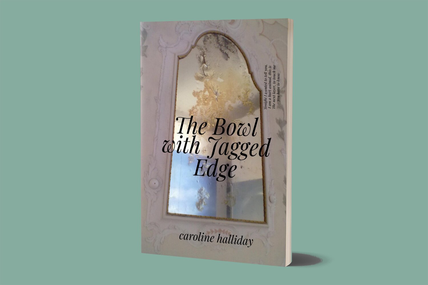caroline_halliday_book_cover_design.jpg