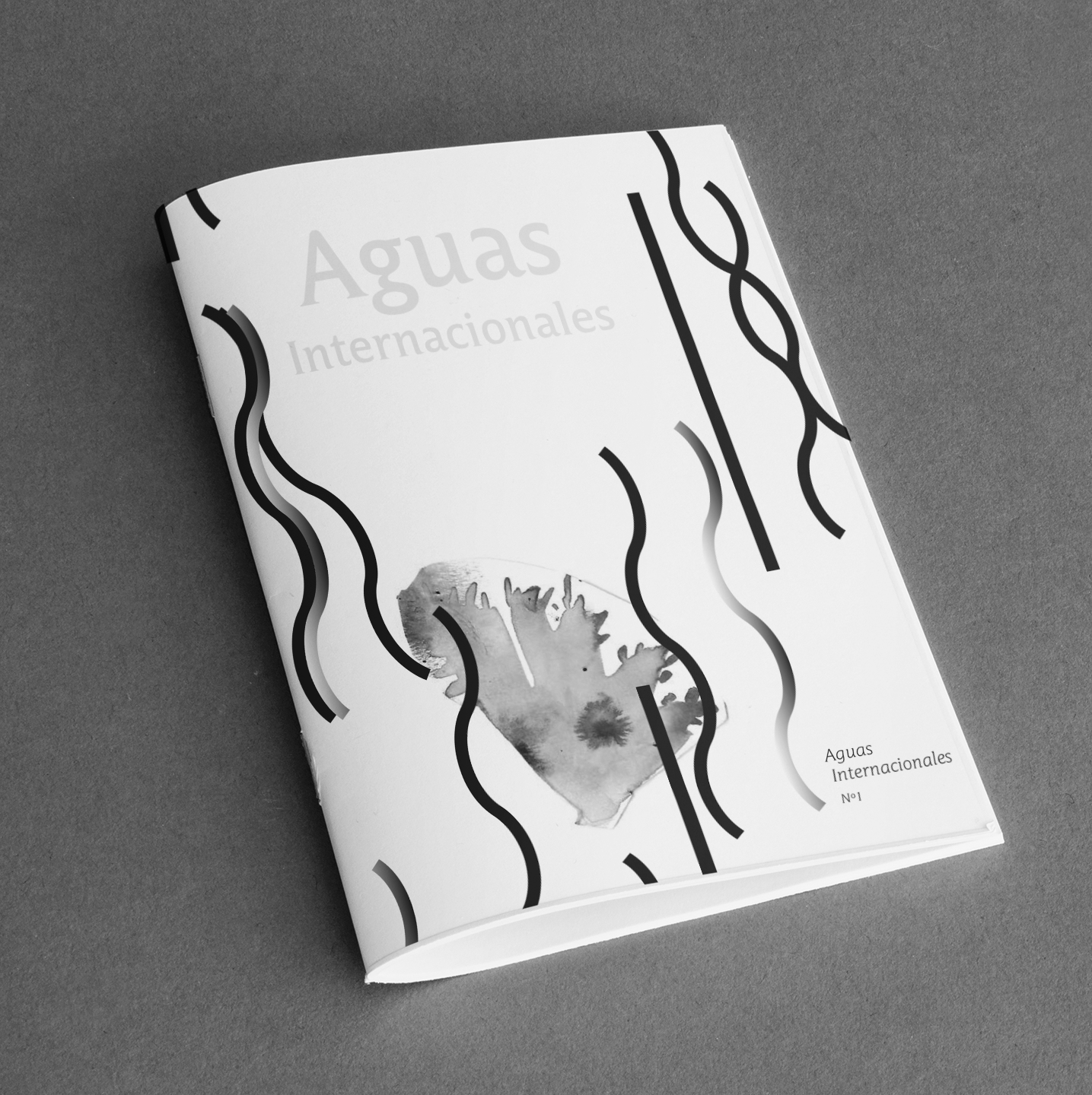 GraphicDesign_Zine_Aguas_Internacionales.png