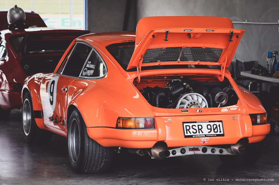 NZFMR16-29.jpg