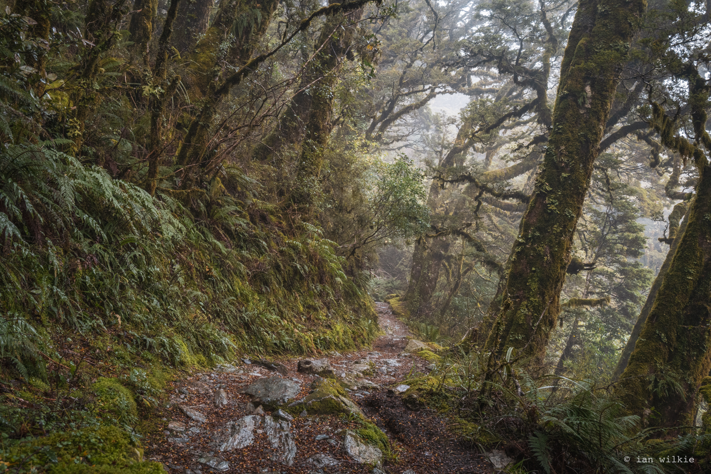 L1000684.jpg