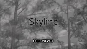 Skyline Storyboard