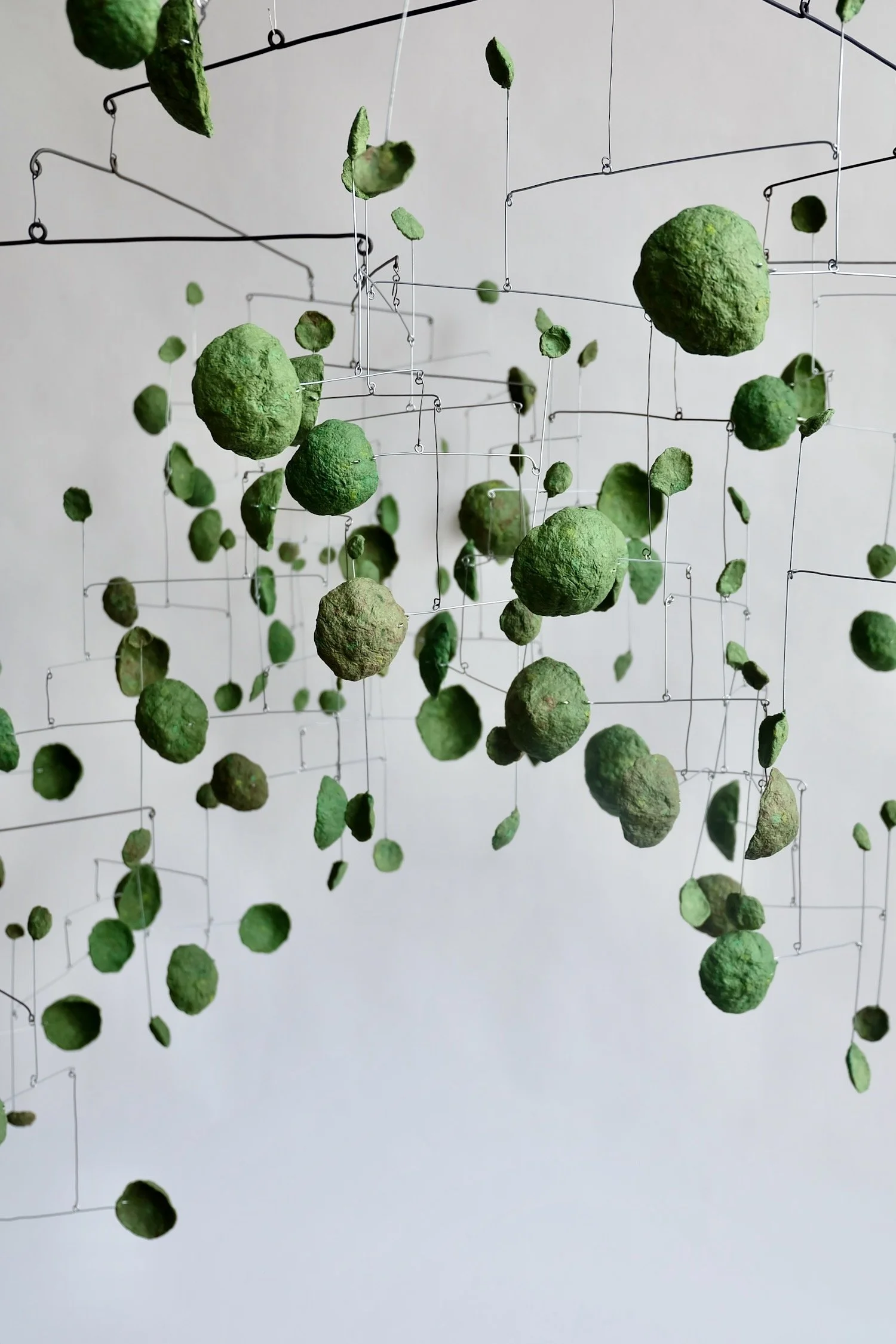 Mossy Mossy H9H (3).jpeg