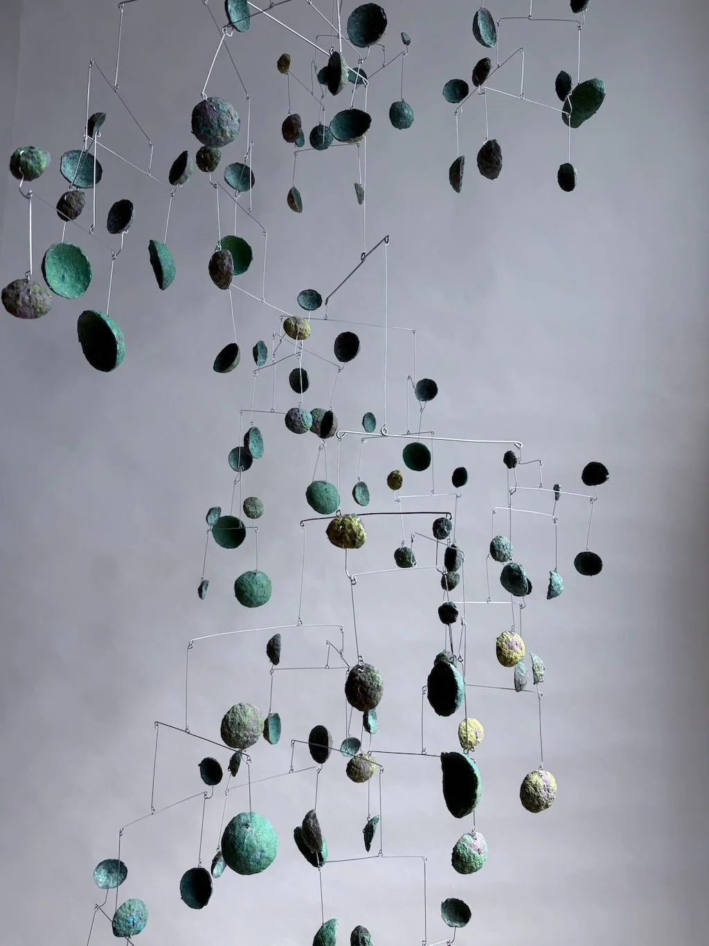 Mindo Cloud Forest (Edition 2 of 2), 2025 (7).jpeg