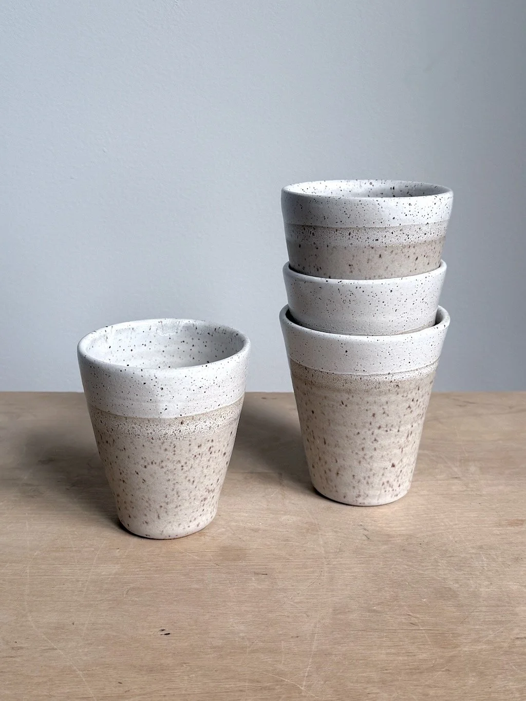 Frosted Speckled Tumbler.jpeg