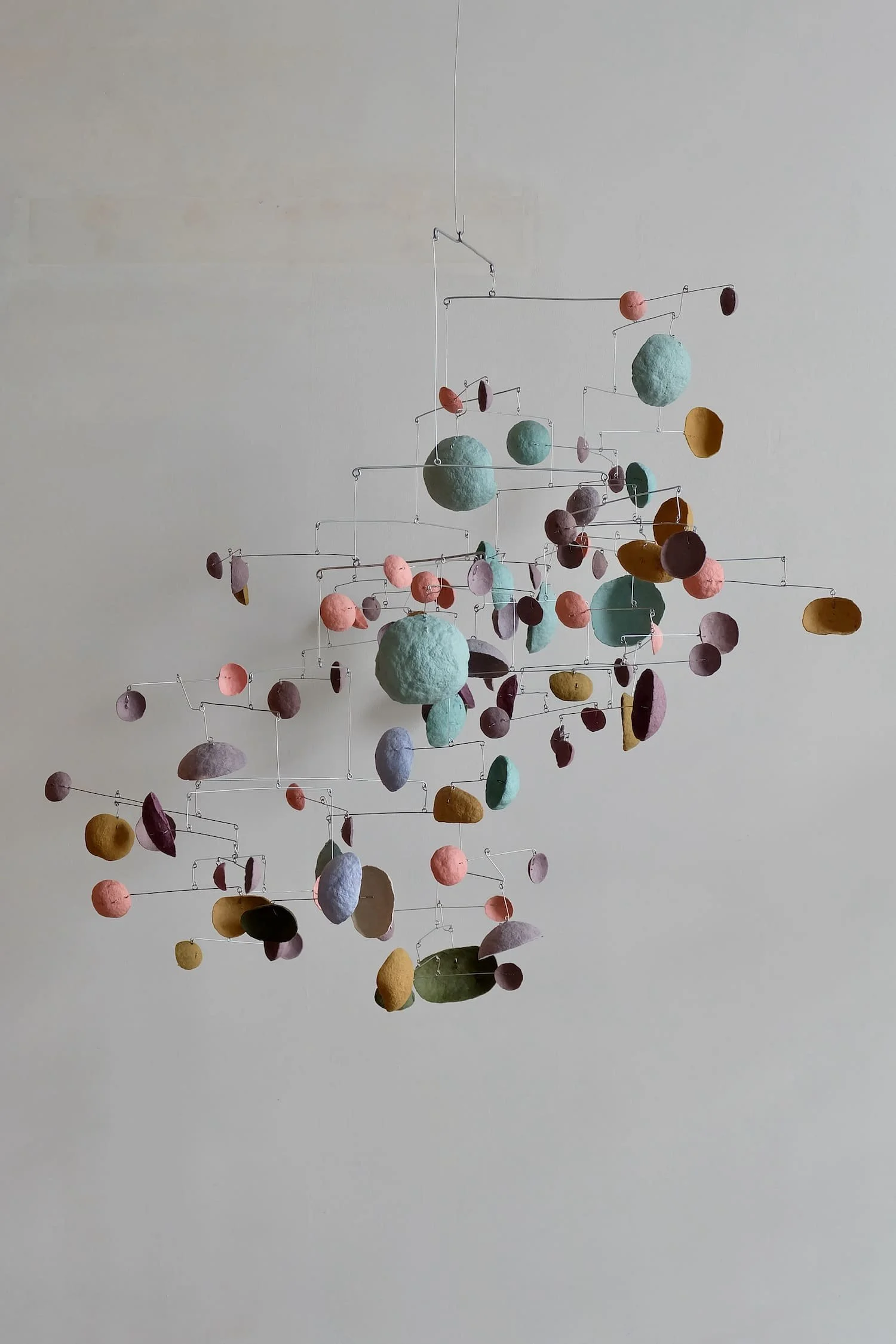 Purple-Dot BAAB-BAA-01-1500.jpeg