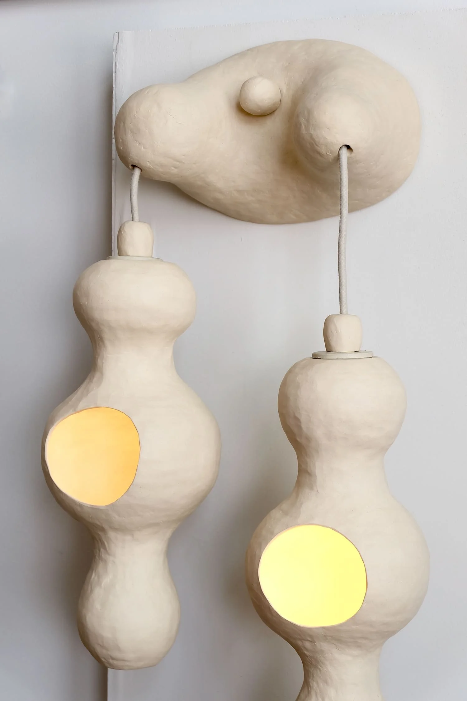 Bowerbird Couple Wall Lamp for Edison (4).jpeg