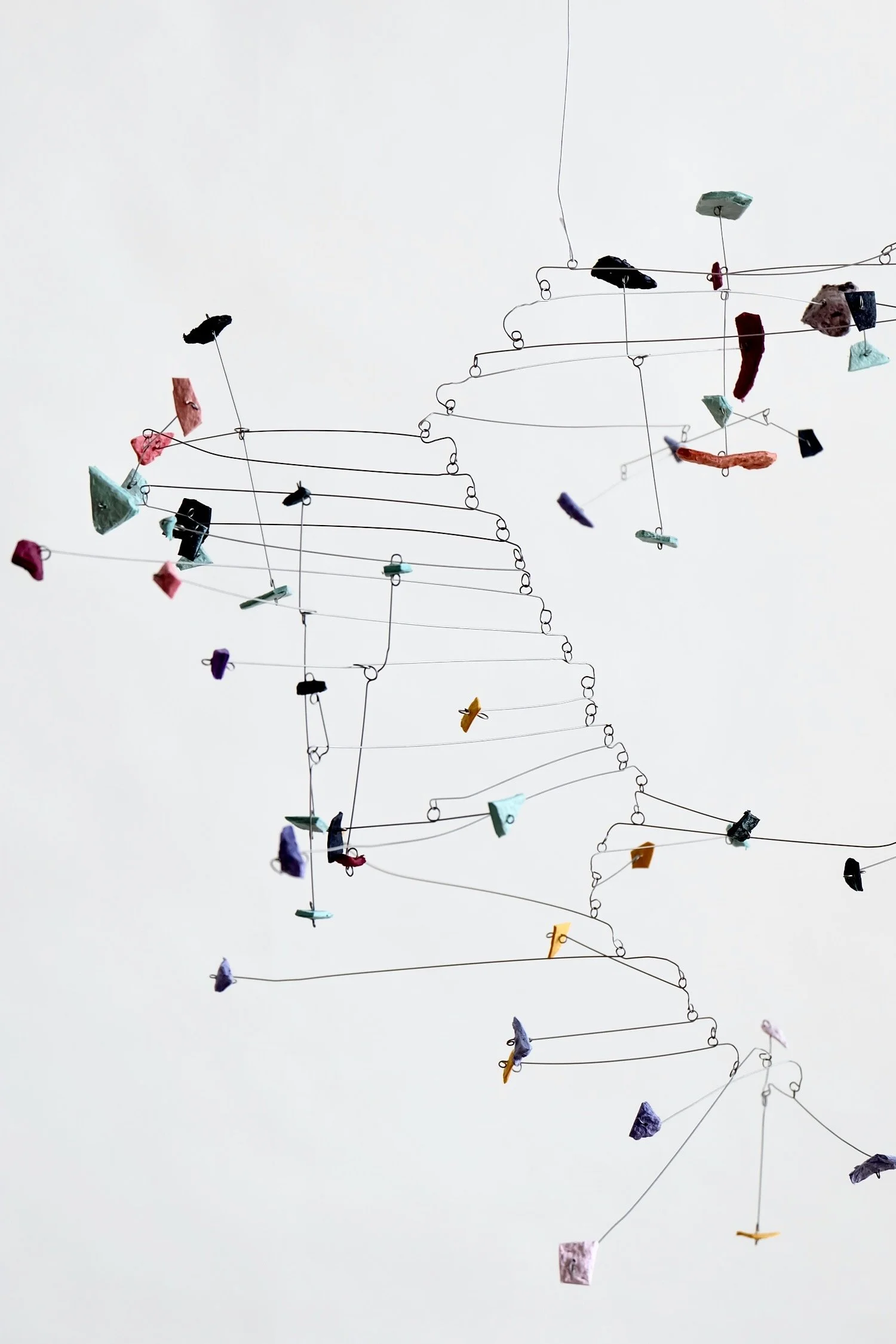 ホネ (Bone), 2025 (4).jpeg