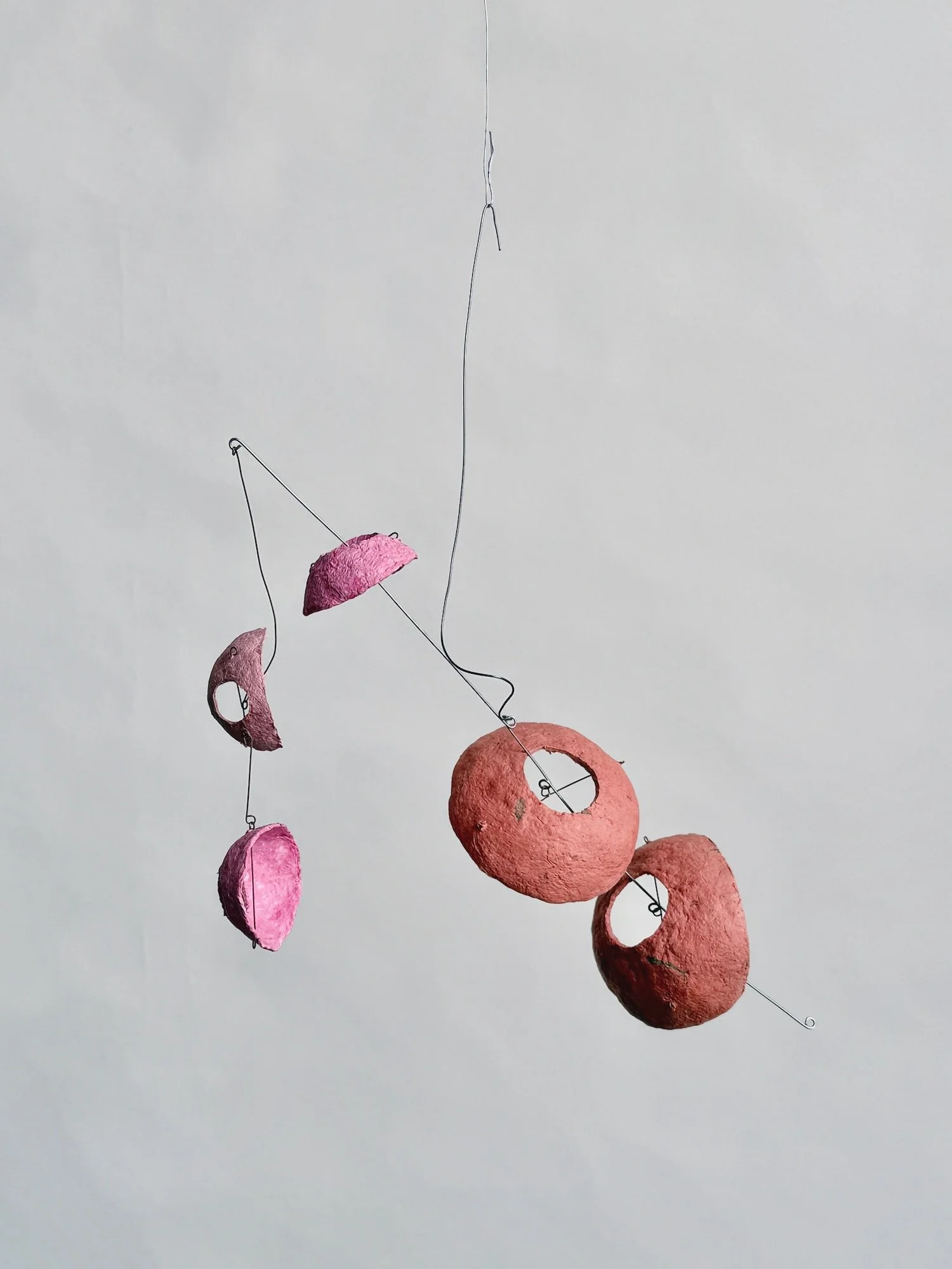 乱切り (Rangiri), 2025 (1).jpeg