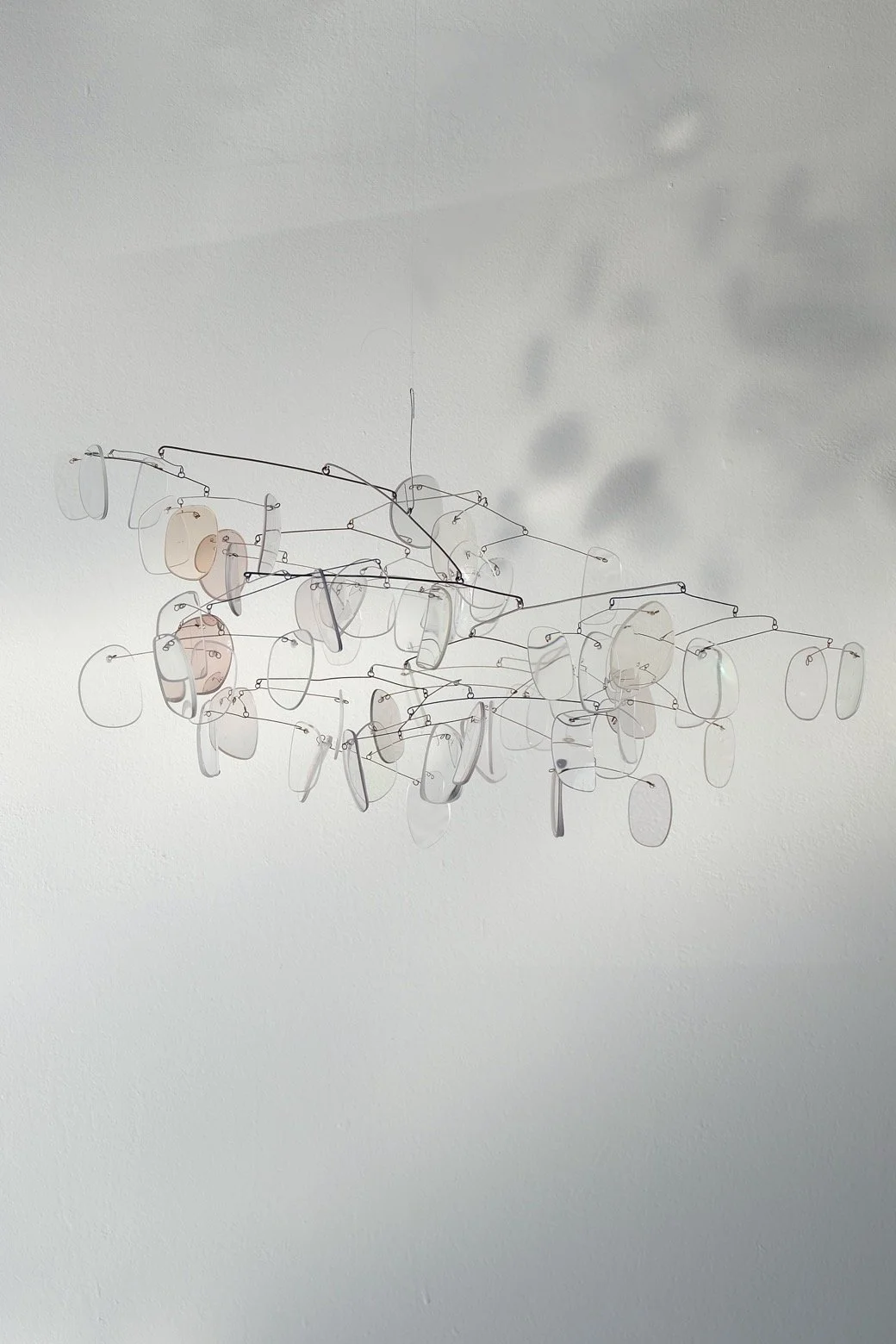 Lenses-2_1.jpg