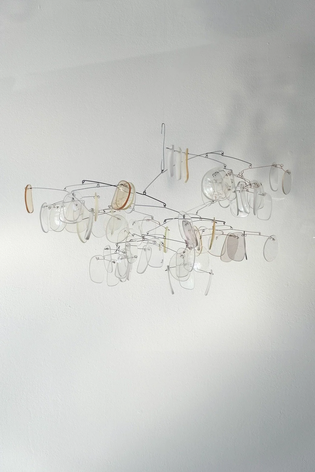 Lenses-1_1.jpg