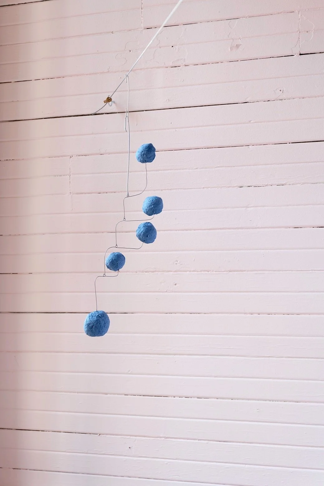 Washed Blueberries 26