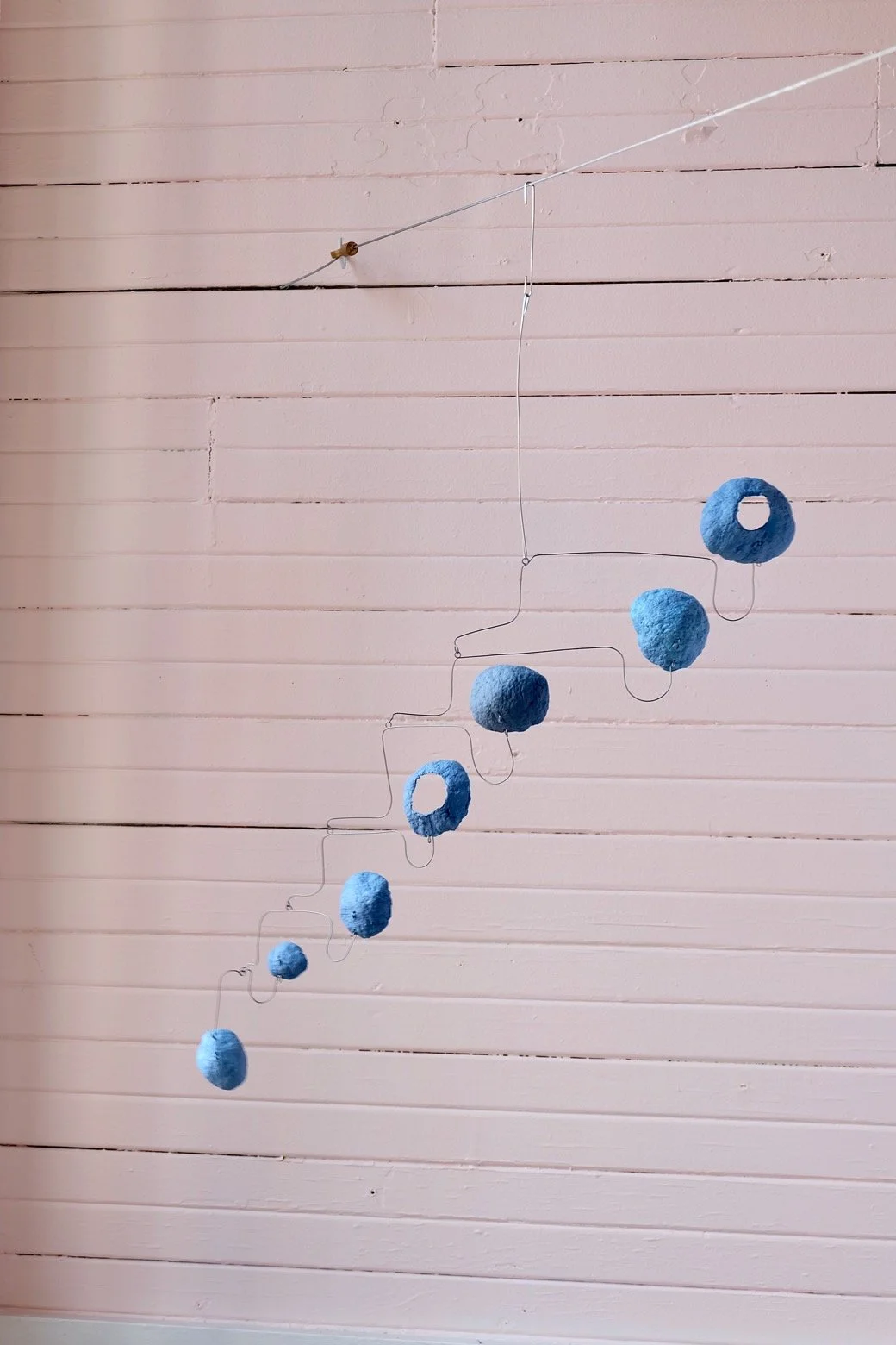 Washed Blueberries 23
