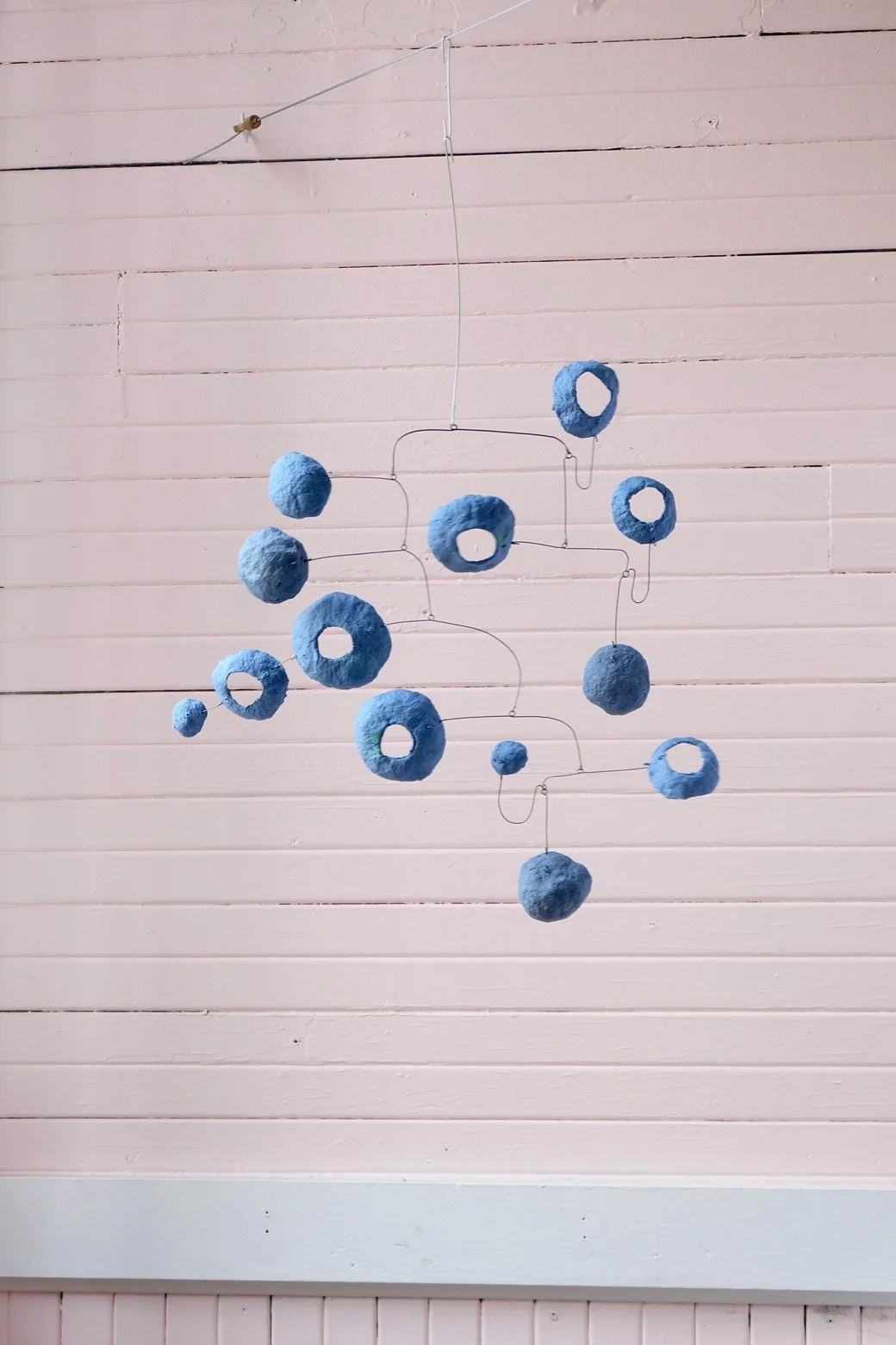 Washed Blueberries 18