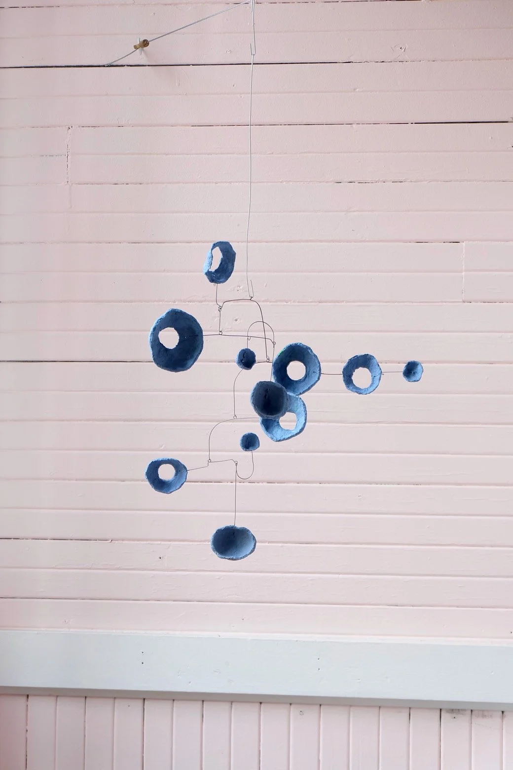 Washed Blueberries 17