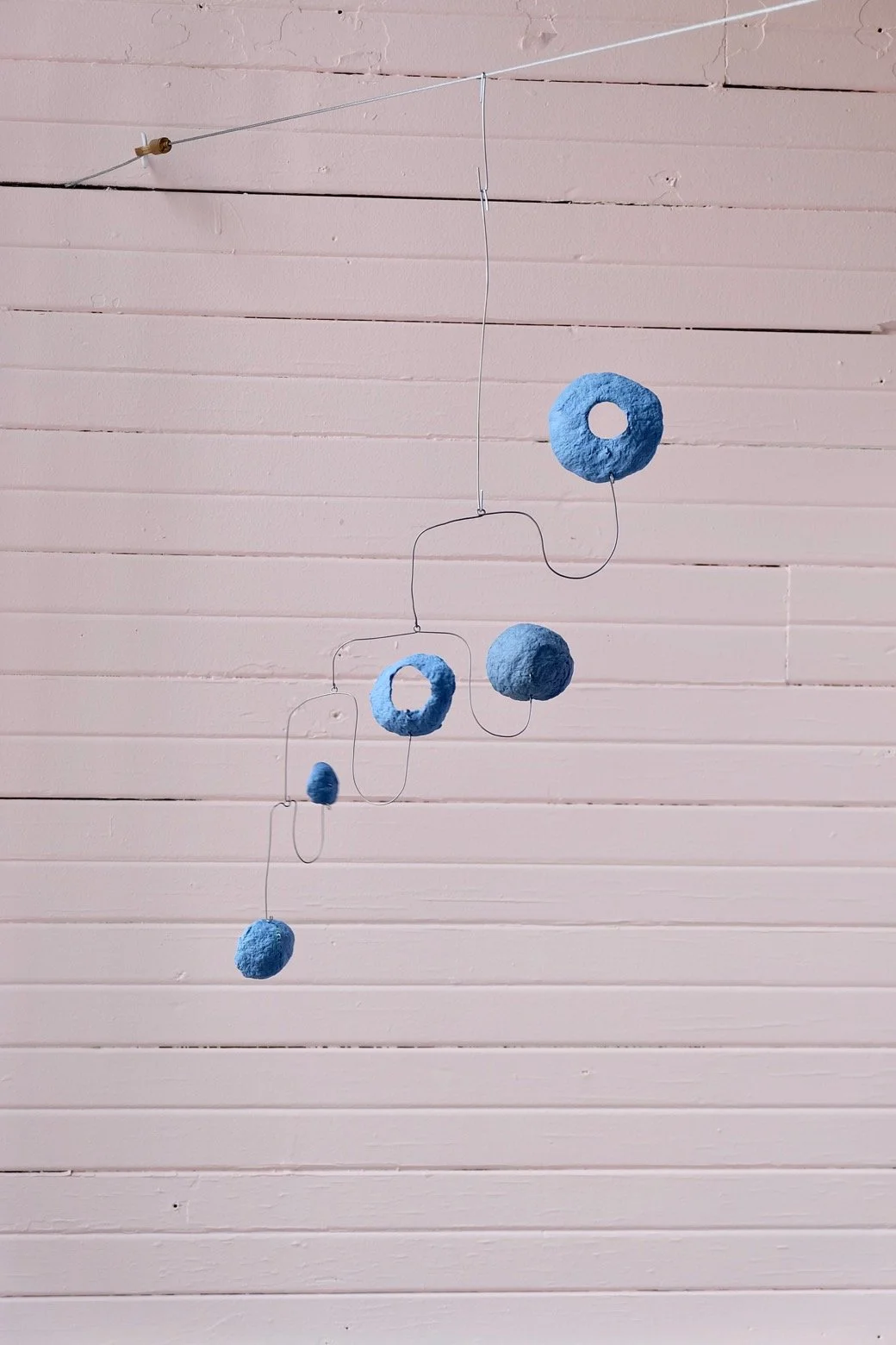 Washed Blueberries 14