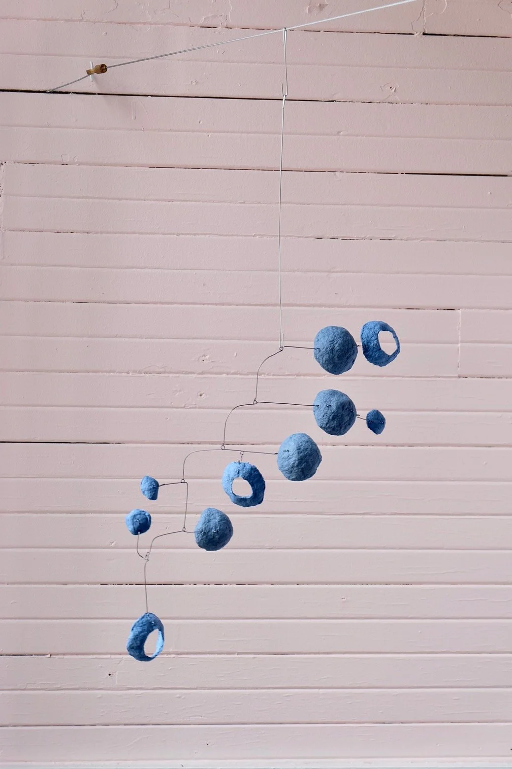 Washed Blueberries 13