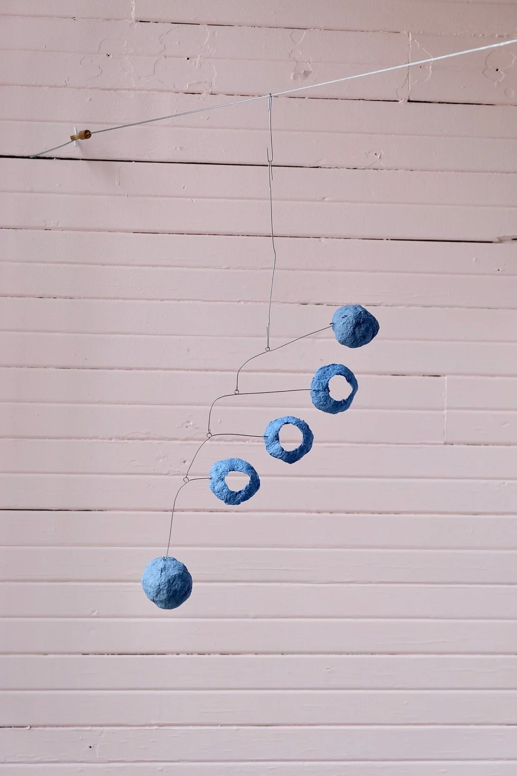 Washed Blueberries 12