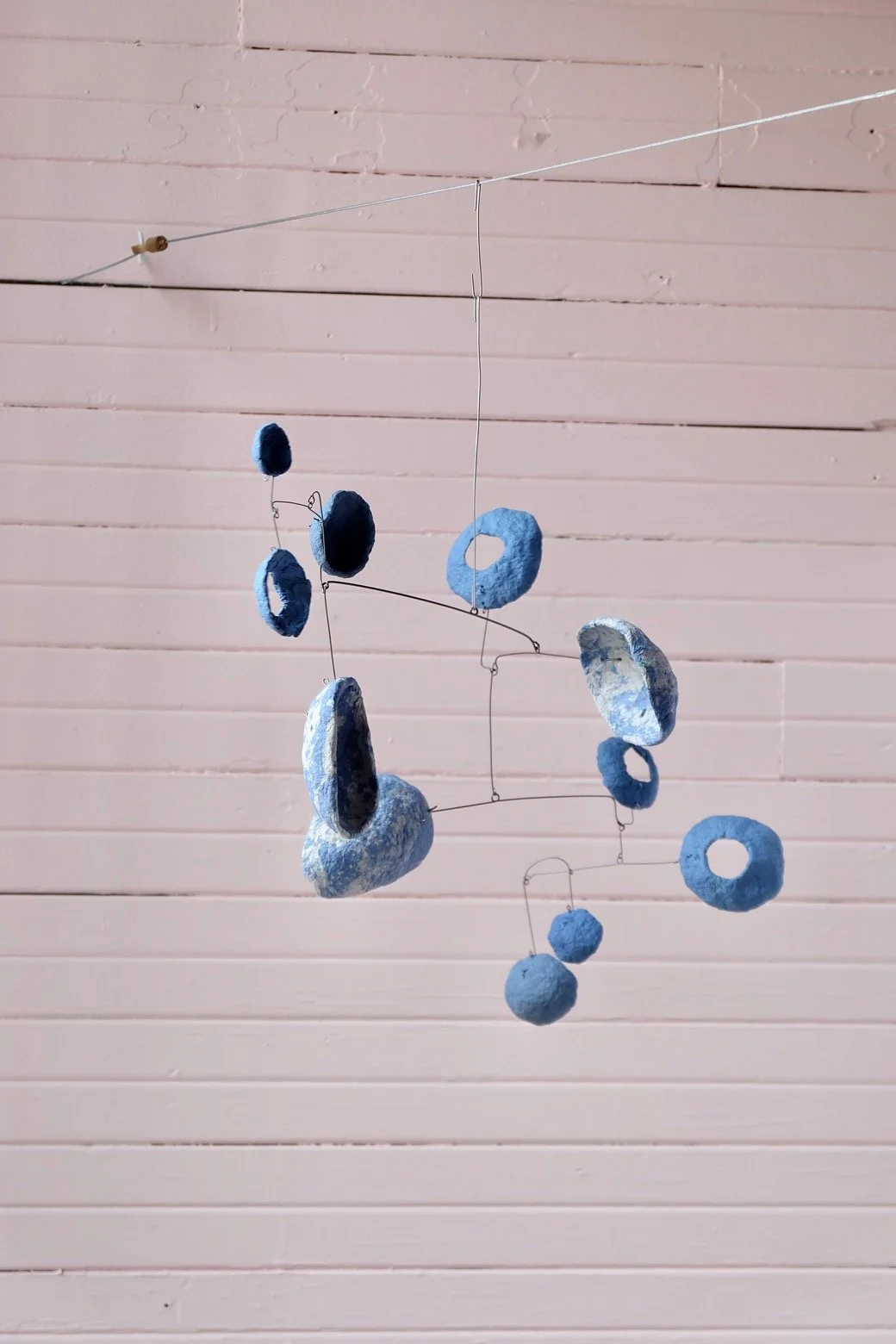 Washed Blueberries 11