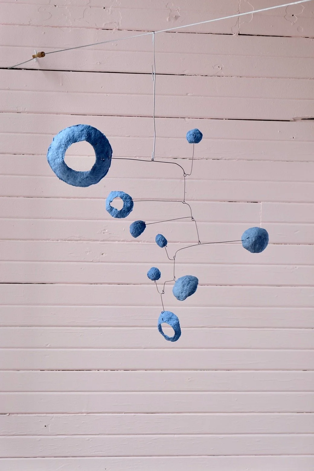 Washed Blueberries 10