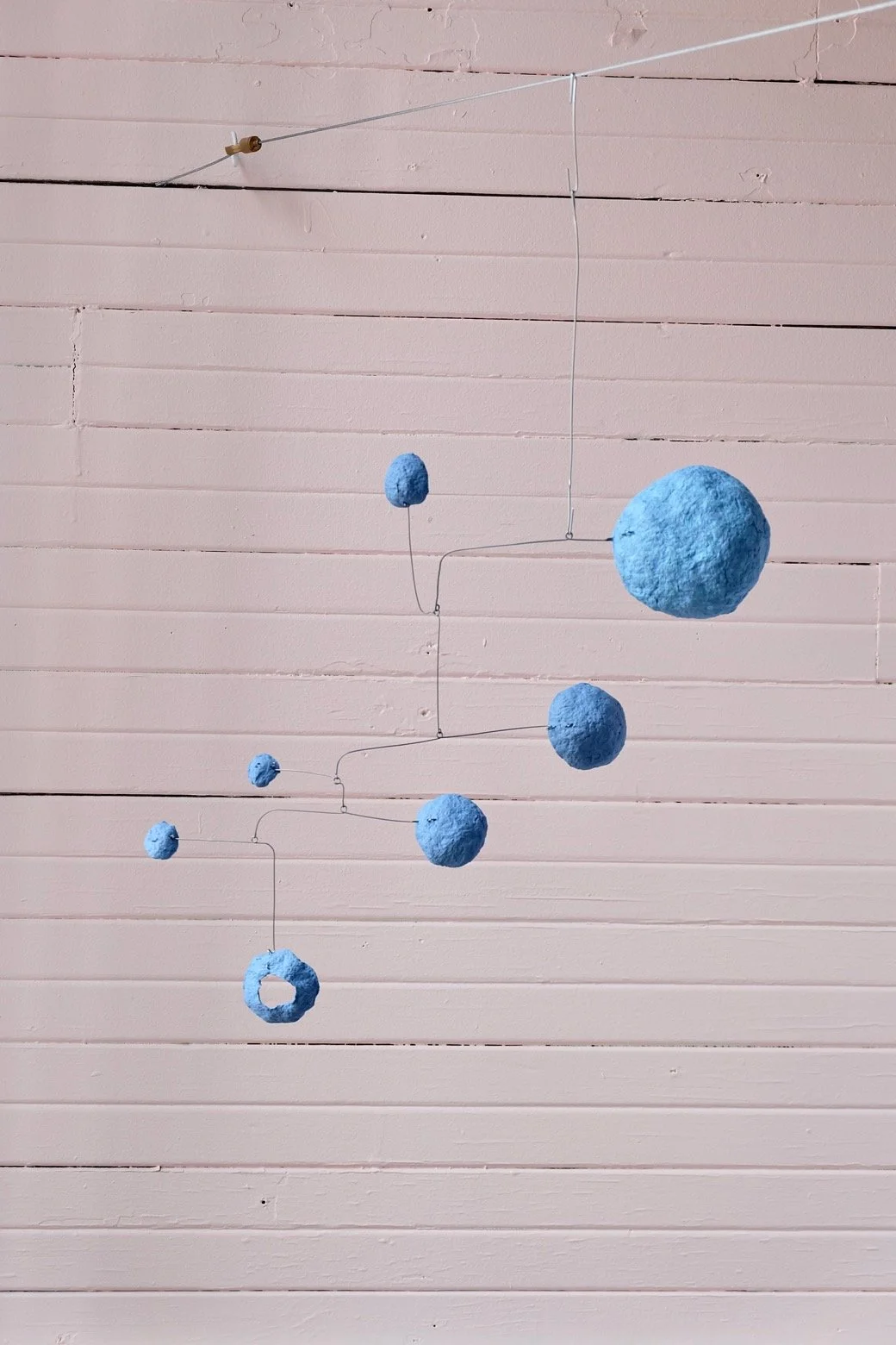 Washed Blueberries 9
